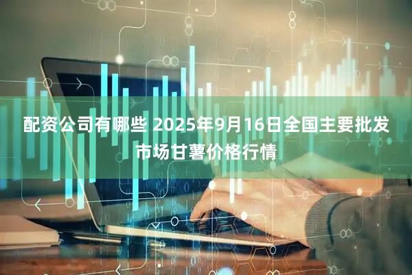 配资公司有哪些 2025年9月16日全国主要批发市场甘薯价格行情