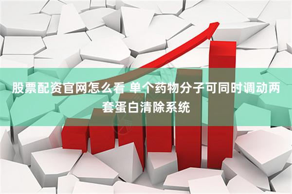 股票配资官网怎么看 单个药物分子可同时调动两套蛋白清除系统